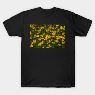 Coreopsis T-Shirt